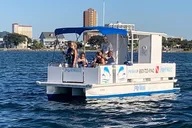 Pensacola Dolphin Cruise and Bay Tour 2 hr thumbnail 4