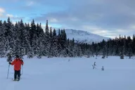 Seward Snowshoeing Adventure thumbnail 5