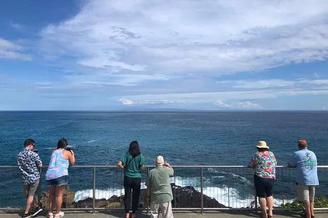 Waikiki North Shore Private Tour - Image 4