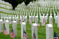 Washington DC Highlights and Arlington Cemetery Tour thumbnail 3