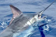 Kailua-Kona Fishing Charter 6 hr thumbnail 2