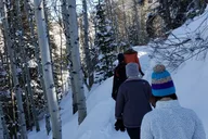 Uinta Forest Hike with Charcuterie Stop thumbnail 5