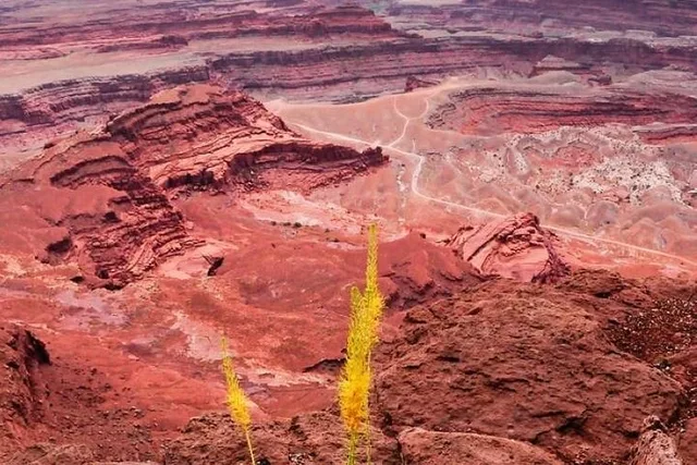 Moab Arches & Canyonlands Backcountry 4X4 Jeep Tour - Image 4