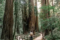 San Francisco Muir Woods and Marin Headlands Tour thumbnail 5
