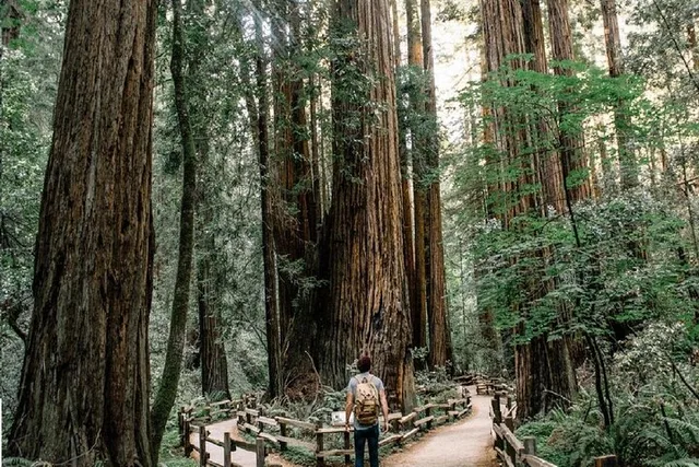 San Francisco Muir Woods and Marin Headlands Tour - Image 5