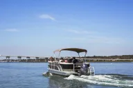 Hilton Head Dolphin Watching Tour 1.5 hr thumbnail 3
