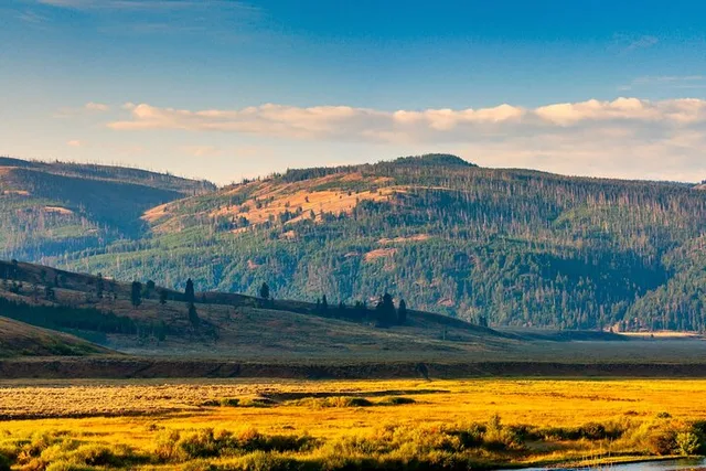 Yellowstone, Glacier, Grand Teton & Banff Audio Tour - Image 6