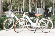 Miami Beach Electric Bike Rental thumbnail 2