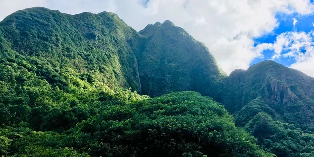 Maui Private Valley Isle Tour - Image 1