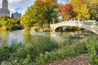 New York Central Park Pedicab Tour thumbnail 4