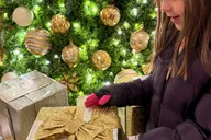 Washington D.C. Christmas Tree & Holiday Lights Tour thumbnail 3