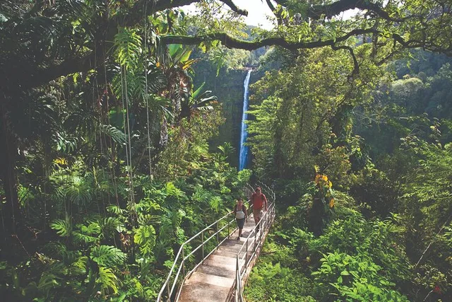 Hilo Volcano Adventure Tour - Image 6