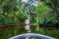 Winter Park Chain of Lakes Clear Kayak Tour 2 hr thumbnail 4