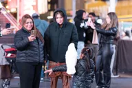New York Times Square Evening Walking Tour thumbnail 1