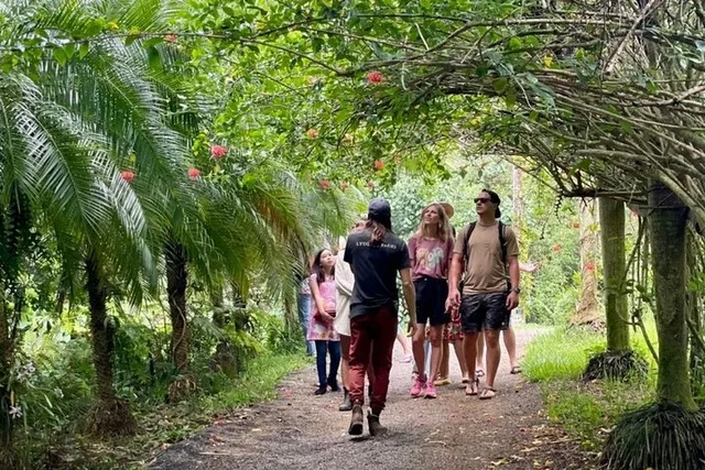 Kauai Chocolate Farm Tasting Tour - Image 6