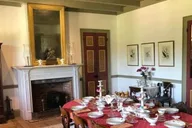 New Orleans Oak Alley and Laura Plantation Tour thumbnail 1