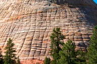 Las Vegas Bryce Canyon and Zion National Park Tour thumbnail 3