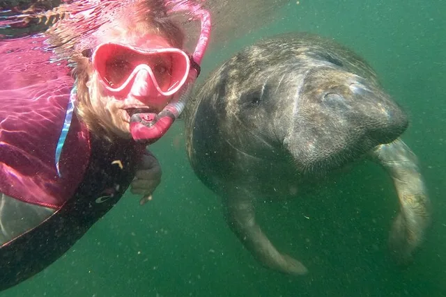 Crystal River Manatee Snorkel Tour with Guide - Image 3