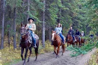 Jackson Hole Horseback Riding Adventure thumbnail 3