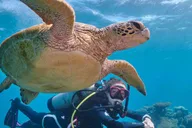 Miami Guided 2-Tank Scuba Diving thumbnail 3