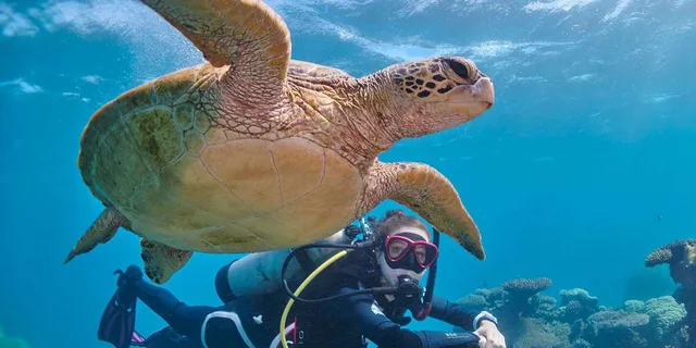 Miami Guided 2-Tank Scuba Diving - Image 3