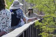 Fort Lauderdale Everglades Safari thumbnail 6