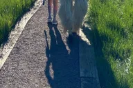 Denver Llama Hike in the Rocky Mountains thumbnail 6