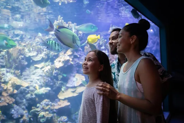 Maui Ocean Center Admission Ticket - Image 5