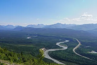 Denali Alaska Range Mountain Hike with Naturalist Guide