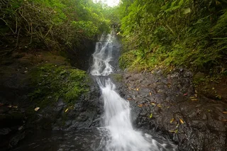 Oahu Waterfall Hike Adventure