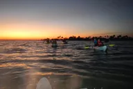 Haulover Canal Kayaking and Bioluminescence Tour thumbnail 3