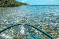 Key West Clear Kayak Eco-Tour thumbnail 2