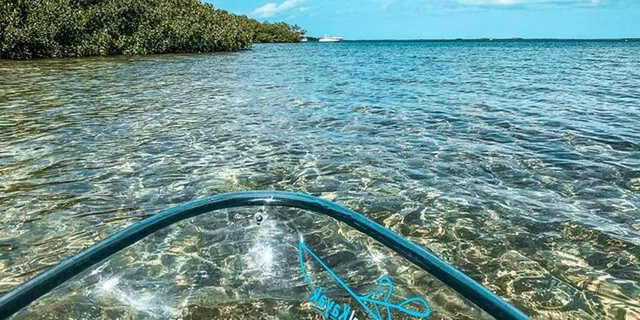 Key West Clear Kayak Eco-Tour - Image 2