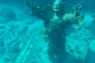 Key Largo Snorkeling Trip thumbnail 2