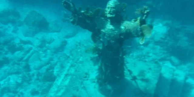 Key Largo Snorkeling Trip - Image 2