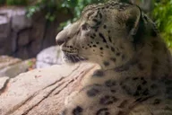 New York Central Park Zoo and Manhattan Walking Tour thumbnail 3