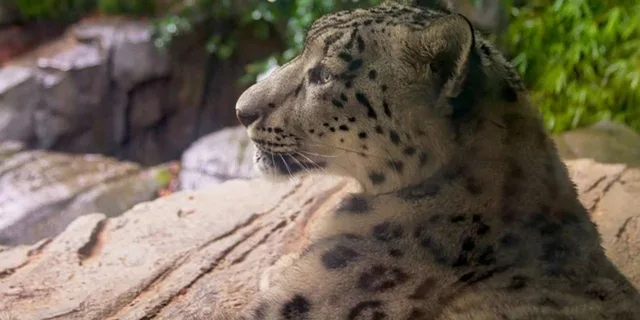 New York Central Park Zoo and Manhattan Walking Tour - Image 3