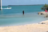 Florida Keys Private Transportation Service thumbnail 3