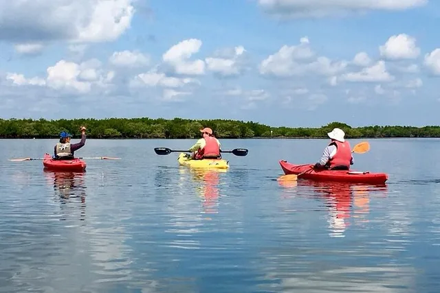 New Smyrna Beach Kayak Dolphin Eco Tour 2 hr - Image 5