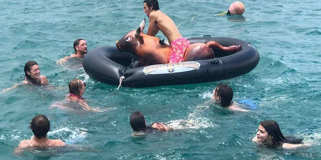 West Palm Beach Cruise & Swim Adventure - Image 6