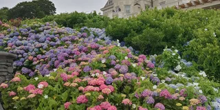 Newport Historical Highlights Tour