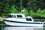 Sitka Whale Watching and Wildlife Excursion thumbnail 4