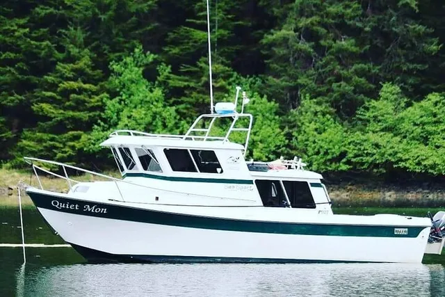 Sitka Whale Watching and Wildlife Excursion - Image 4