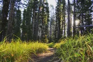 Yellowstone Grand Canyon Hiking Adventure thumbnail 3