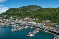 Ketchikan City Totems & Wildlife Private Tour thumbnail 6