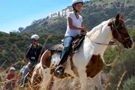 Los Angeles Horseback Riding Tour in Griffith Park thumbnail 2