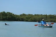 Naples Kayak Rental thumbnail 3