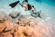 Miami Key West Day Trip with Snorkeling thumbnail 3