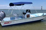 Charleston Morris Island Dolphin Cruise thumbnail 3