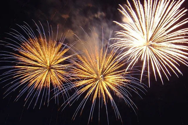 Honolulu Fireworks Dinner Sail - Image 2